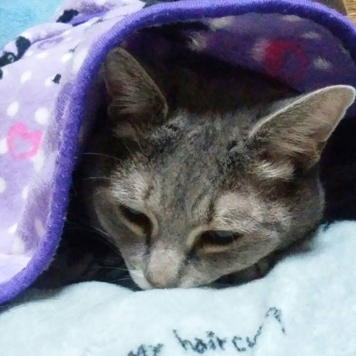 489288eb 5cc0 48b9 93c2 ca248e2c1ddc