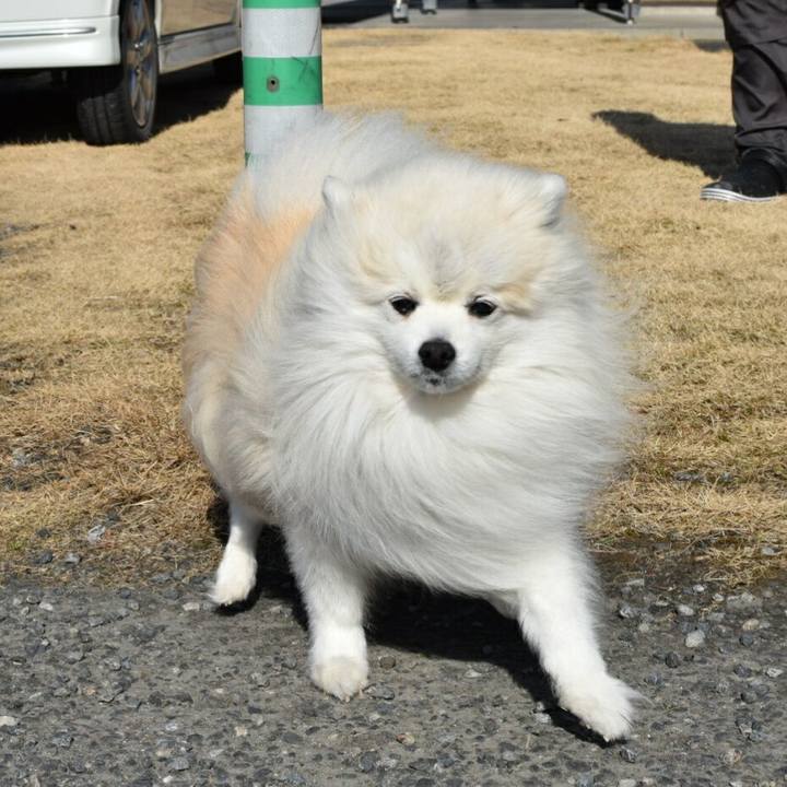 48936eb4 28b4 413f 81d5 2028fc357fcd