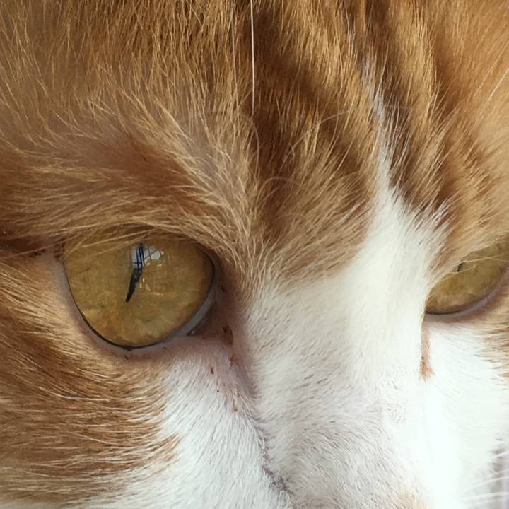 48936ef7 ad4f 4c11 82db d6ecf1d4f9b6