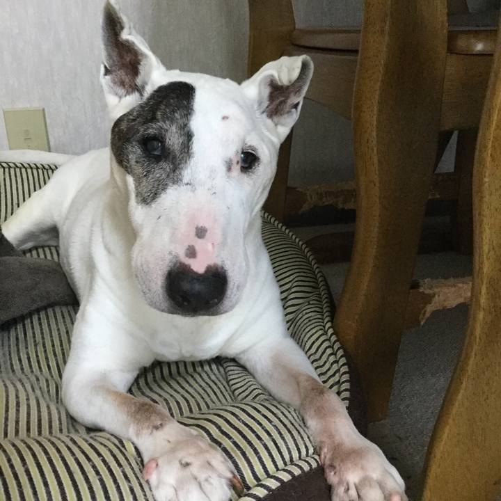 489461fa 9f16 405f 9157 6bc094483052