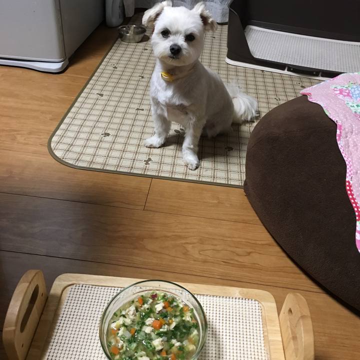 4894aa7c 720e 426d b680 22fcc54bd859