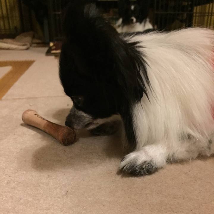 4894b956 3541 49b0 aff6 8df6e3218afa