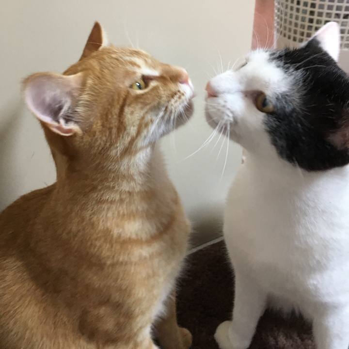 4895e8b8 9afc 4629 ad4c 82595012d8e5