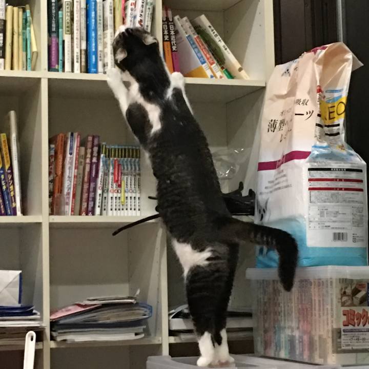 48967fde d2cd 423e b8d9 74fbd3770761