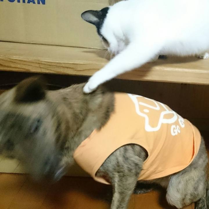 489692c7 4dc4 4e42 b017 90428c58f787