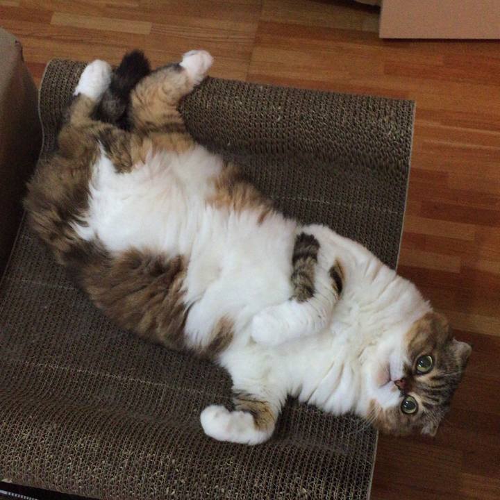 48969eb6 ec5f 4107 aa85 97255f23697f