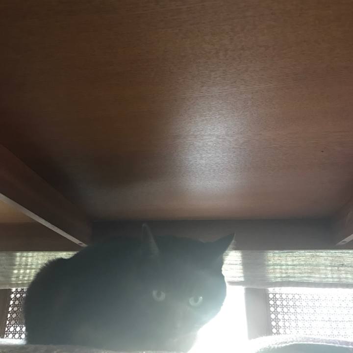 4896e452 7b8b 458b 89ef e56c4a9341f1