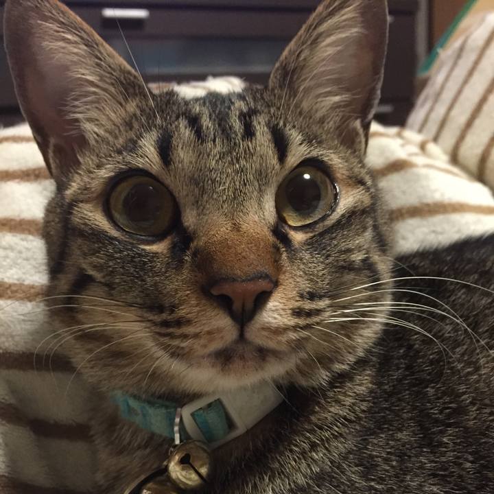 489711cb db14 4a46 9336 ee048e67ac07