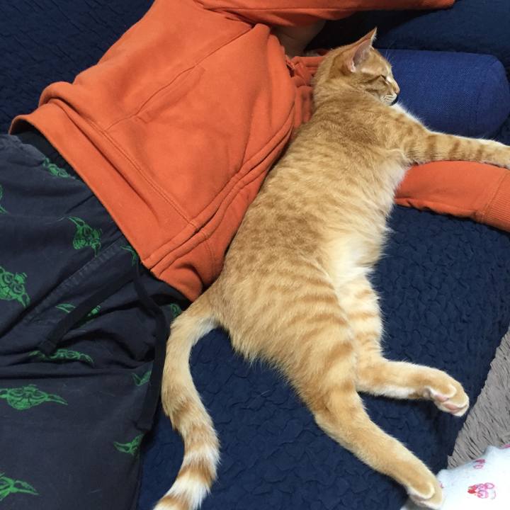 4897631c c334 4bfa 92e4 6e556c1a0671