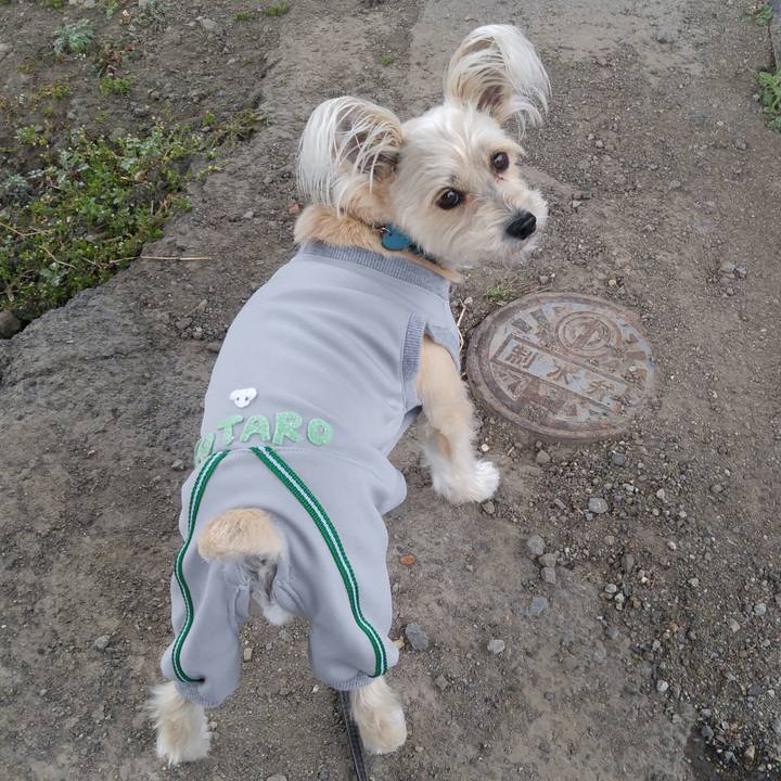 48980915 3911 4732 9ba8 a2f3bfe71372