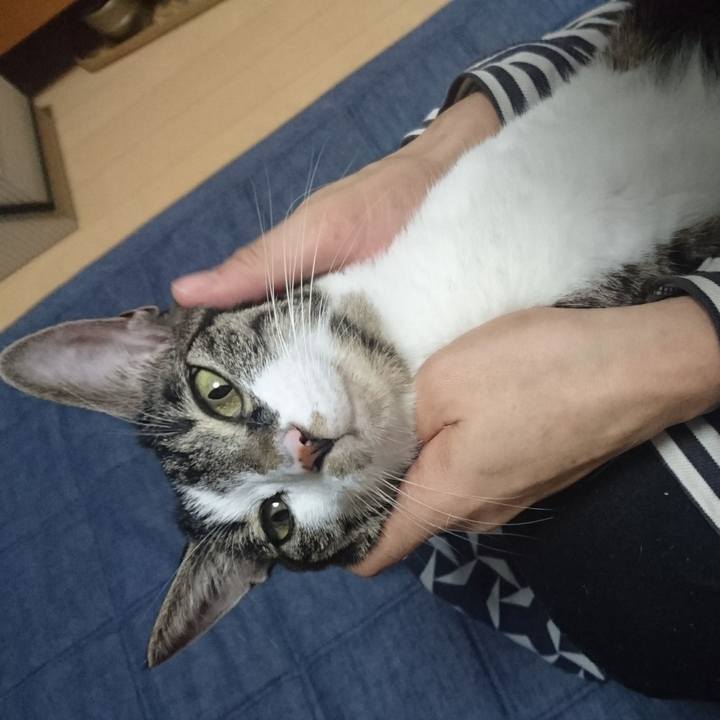 4898396f ad18 41c7 baa8 fd1b98ec6405