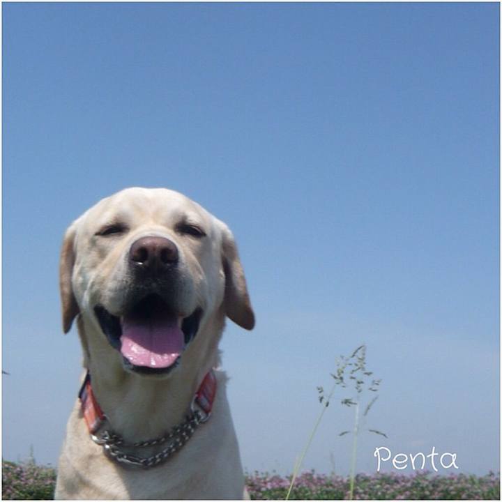 489859ec 4539 42fd a5a4 d1e5519c455e