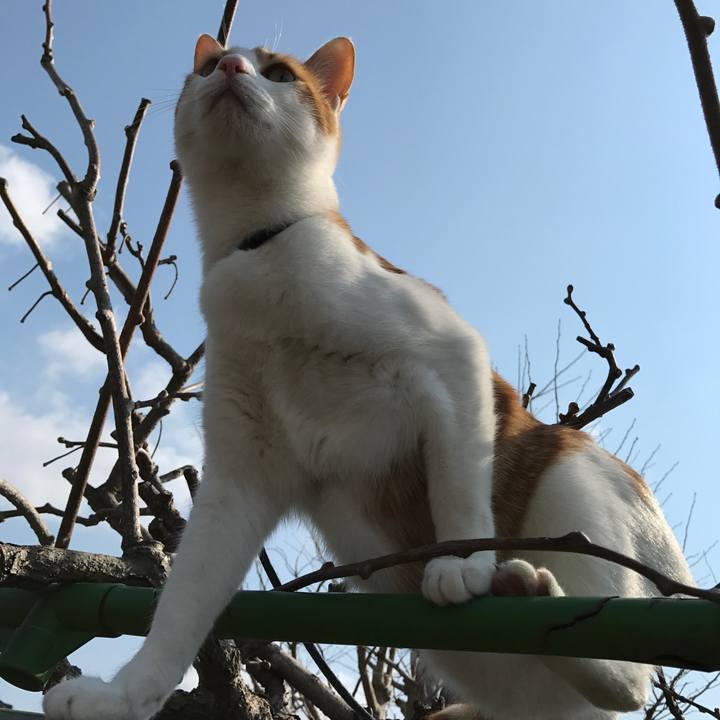 48998d81 3496 4d6d 8bde aaadd77a8c65