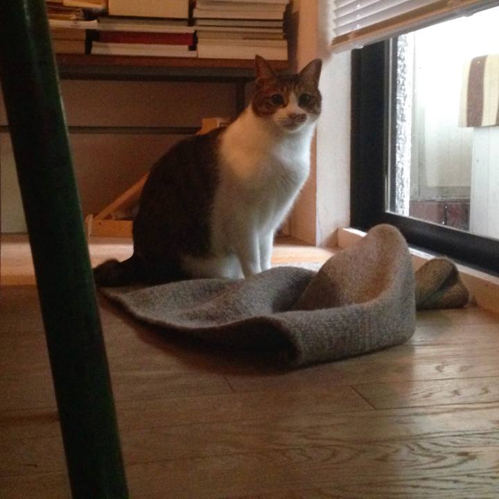 4899b489 f18a 41a0 8ebf f5baee672f3e