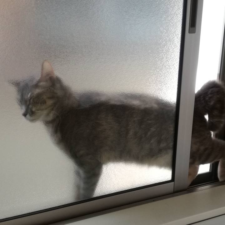 489a6786 a006 45d3 9a45 312417f64a15