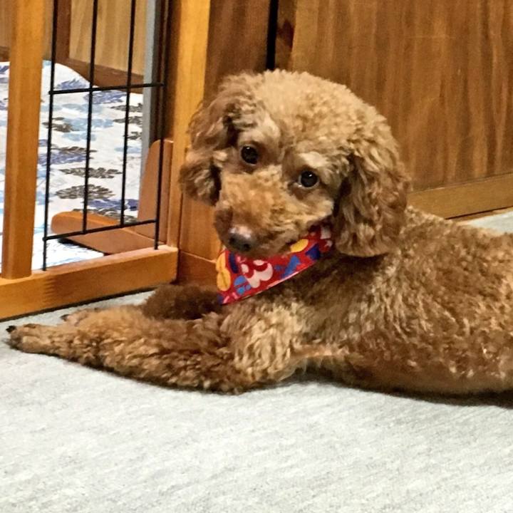 489c2149 e12f 4417 a444 25a4fe0d5705