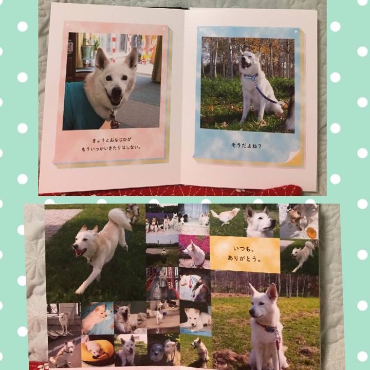 489c3a34 8f1c 4c0e aa05 fab2fc2b60d3