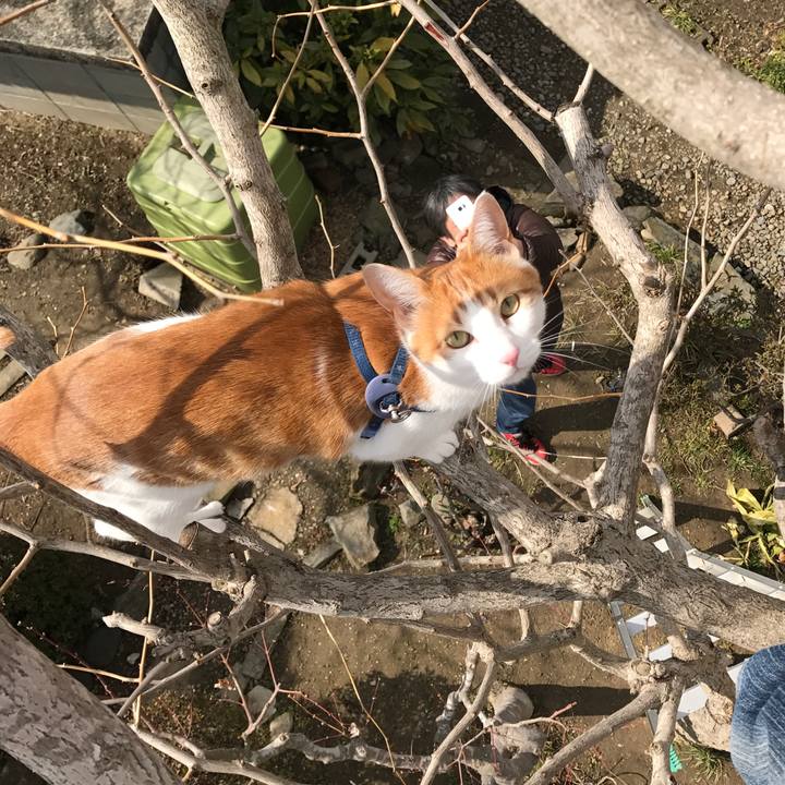 489cce2d f048 44f9 8542 a4a098db2323