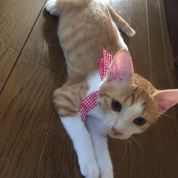 489d33da 4edd 4e0a 8430 96006c920860