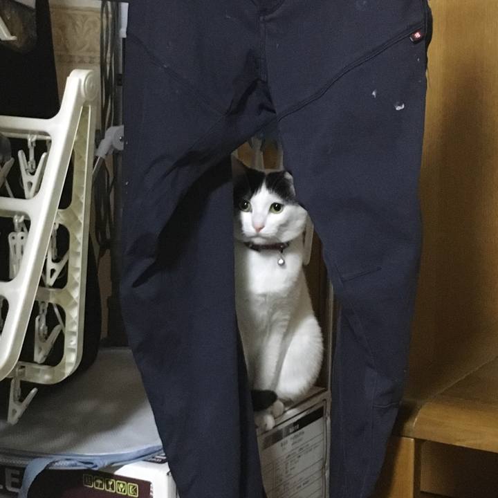 489e0df2 359c 4d5e bcbb c394856b5d64