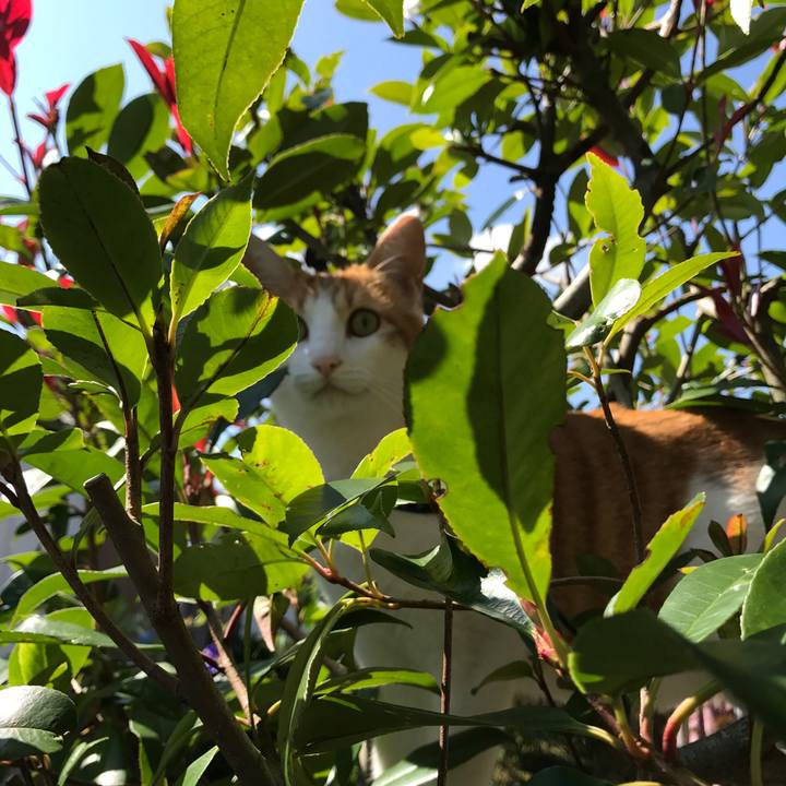 489e77b1 5975 4276 a3a1 a562c1202808