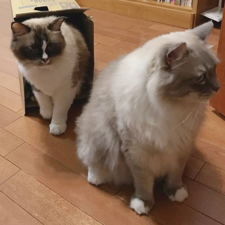 489f5ff7 74ea 4a82 911b 85bd4841a654