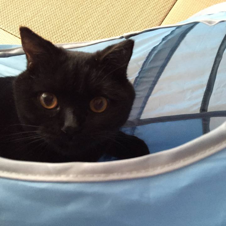 48a0244e 1db9 47a1 a9df f280ccc66127