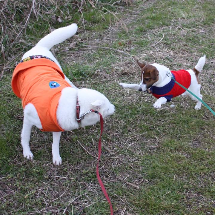 48a03b87 4523 4685 94b7 3a3b707ad9e1