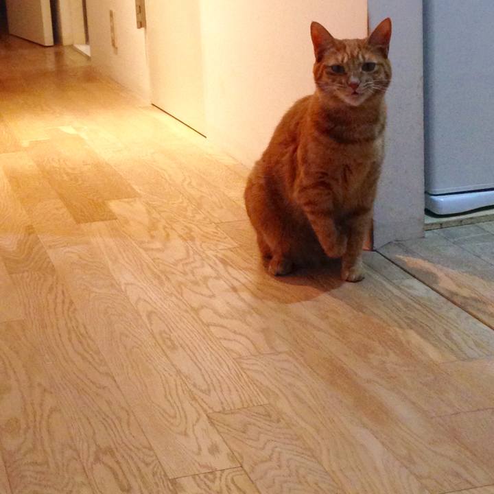 48a0a3ee bd88 4c76 b658 6fb74738c8e7