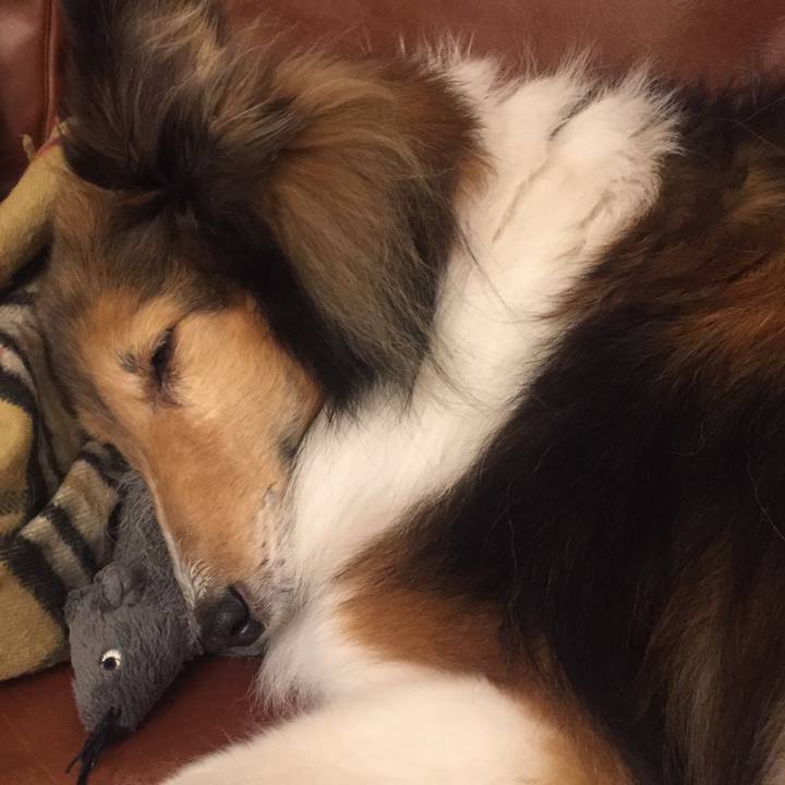 48a0fd9e 9486 4be4 b930 3816dac22377