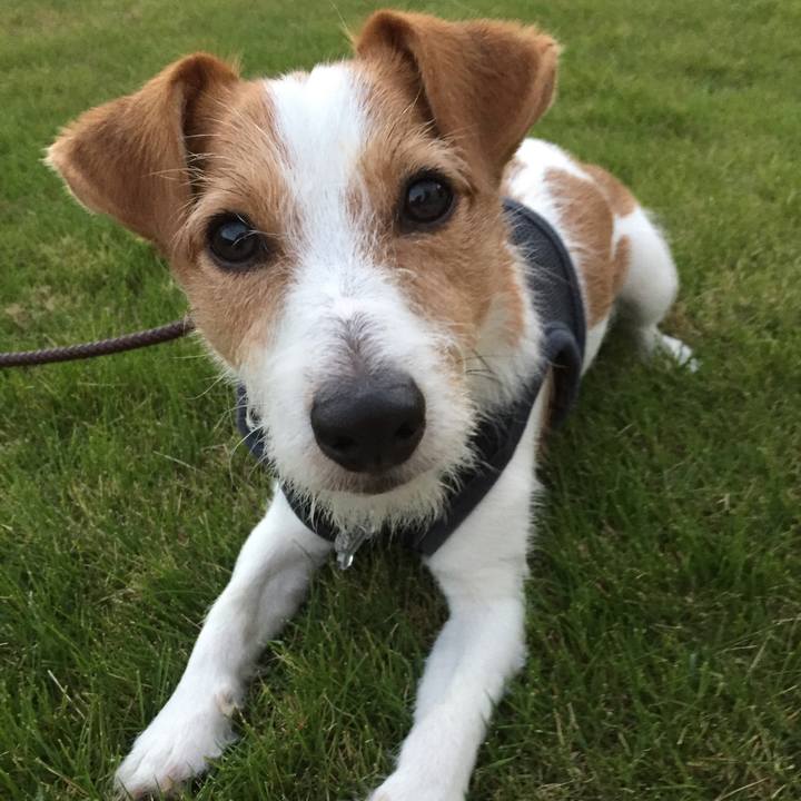 48a1517f 42c4 4f7b a4fd 46b0483a5747