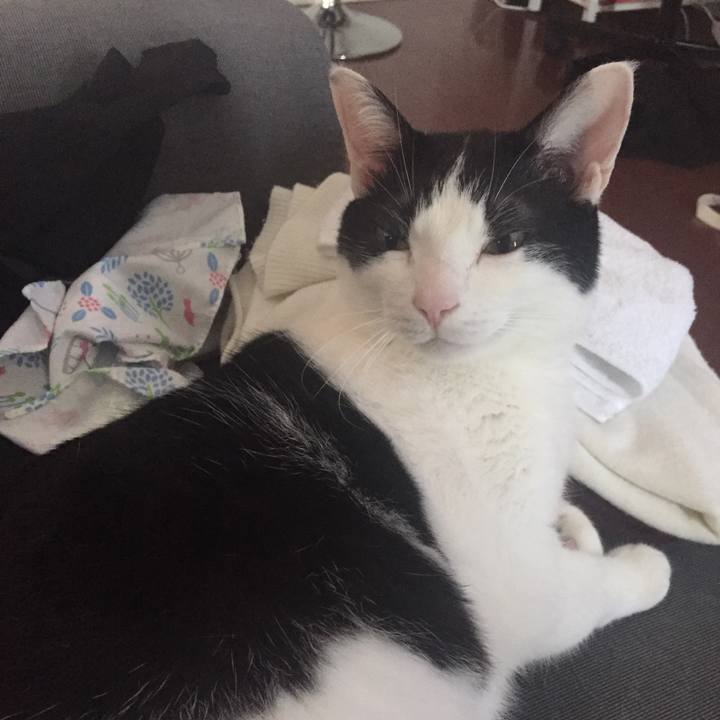 48a1736a b626 42c6 ad74 07395dc1e7d9