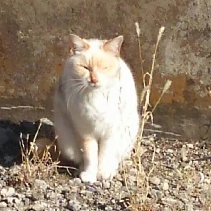 48a26aa9 ac4d 4e44 8cd5 a93bdb853209