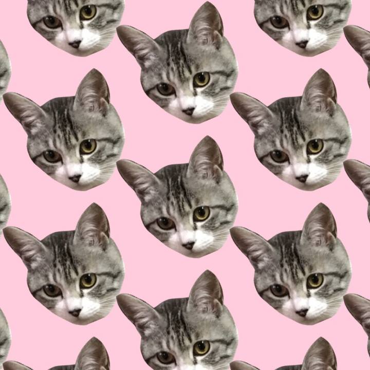 48a27975 21c8 4c9a 9606 e686550f72da