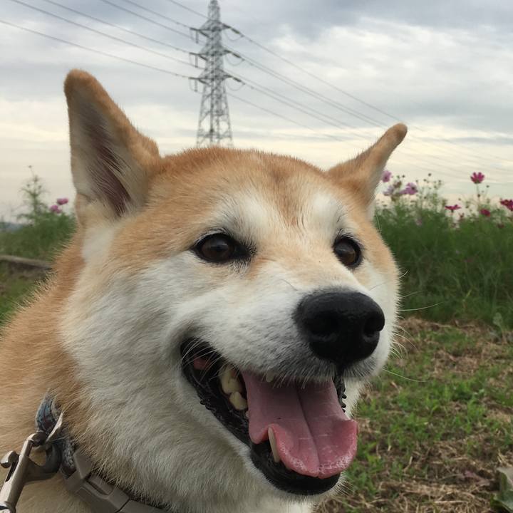 48a2bbb5 8045 459f a7e2 a214a2fb5e79