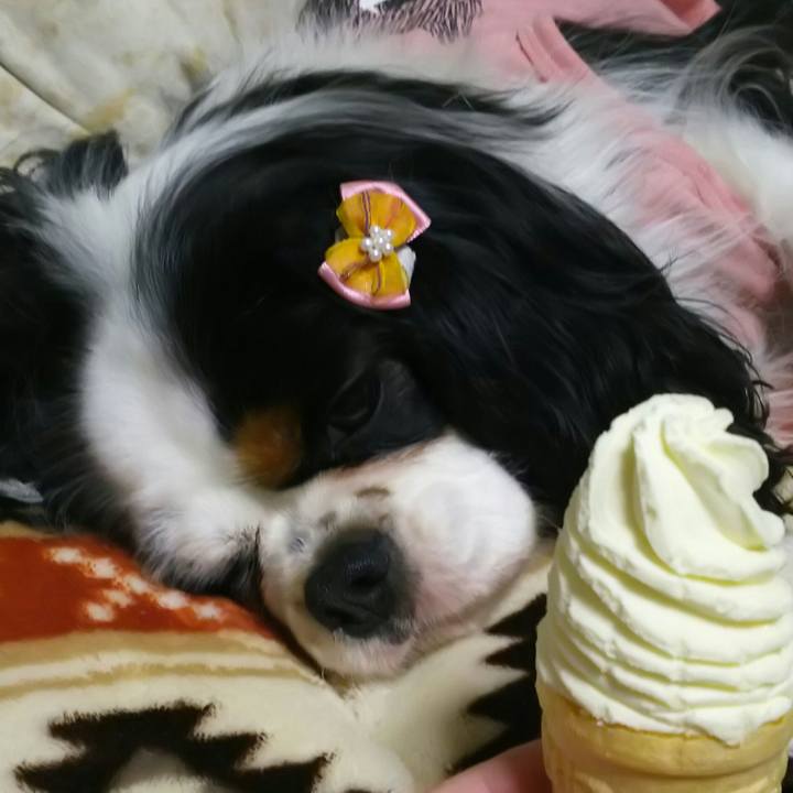 48a34fae bcf0 459f 8119 e1b26fde06f8