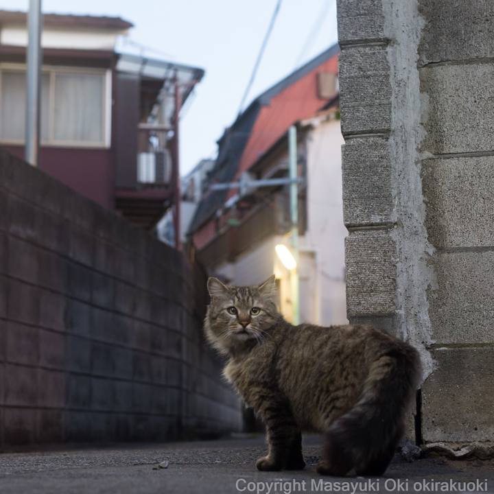 48a3ae8d 010f 47c4 bdcf 1a4e5ecf68f7