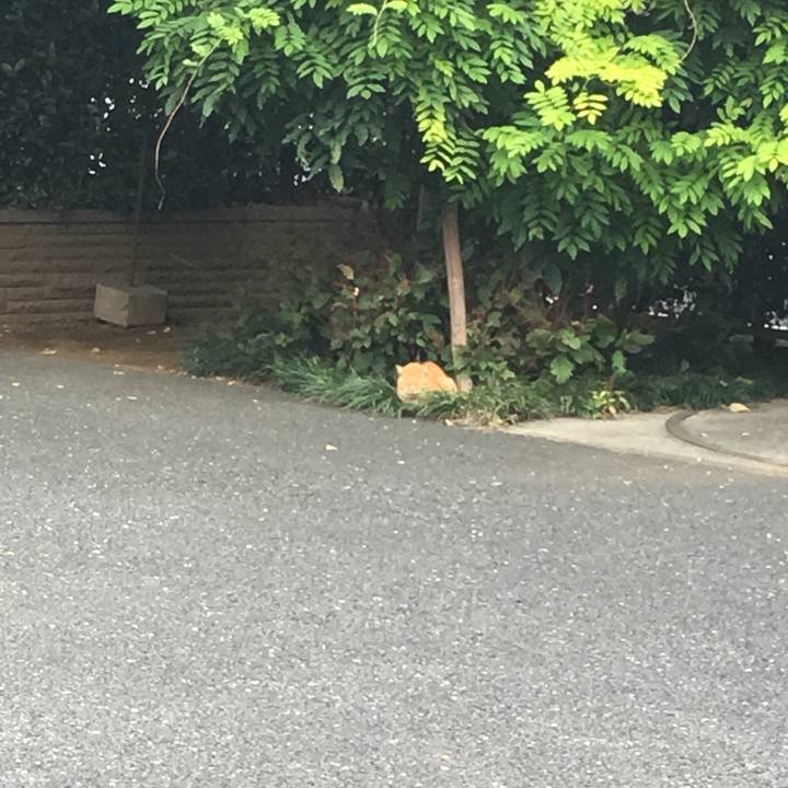 48a3b431 ee3c 466f 95a8 ab8fdeb7d180