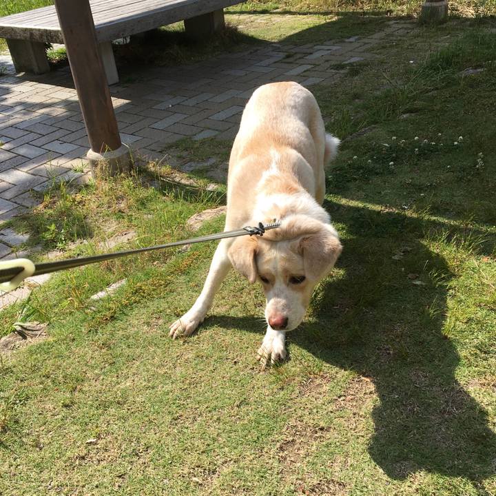 48a42667 8223 44c0 8756 cc794c61f5ef