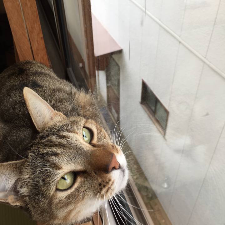 48a47713 36ea 4e84 886f b78427d74a27