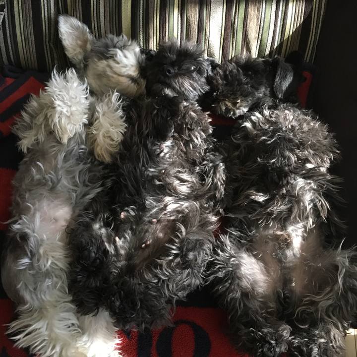 48a5a54f 9a47 4183 8ca9 4f55aacbe64b