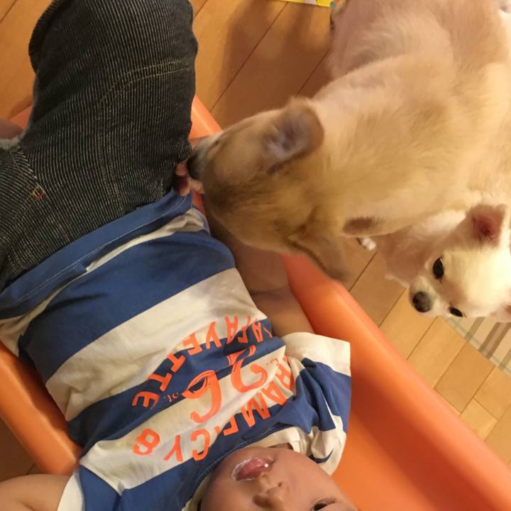 48a5c0be e90c 413f bdfd aa3926d1b5d4