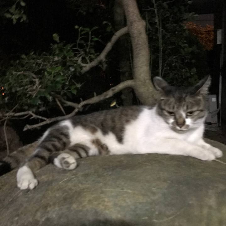 48a5d52a ffad 41c0 8333 f735cc6c0bcc