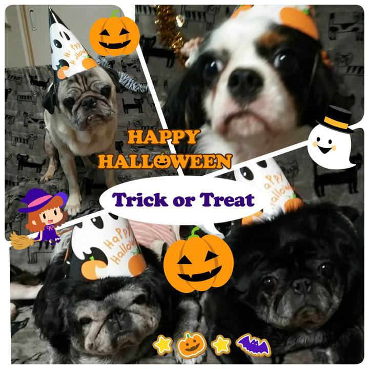 48a68b01 3420 469c a290 f9ea391385b4