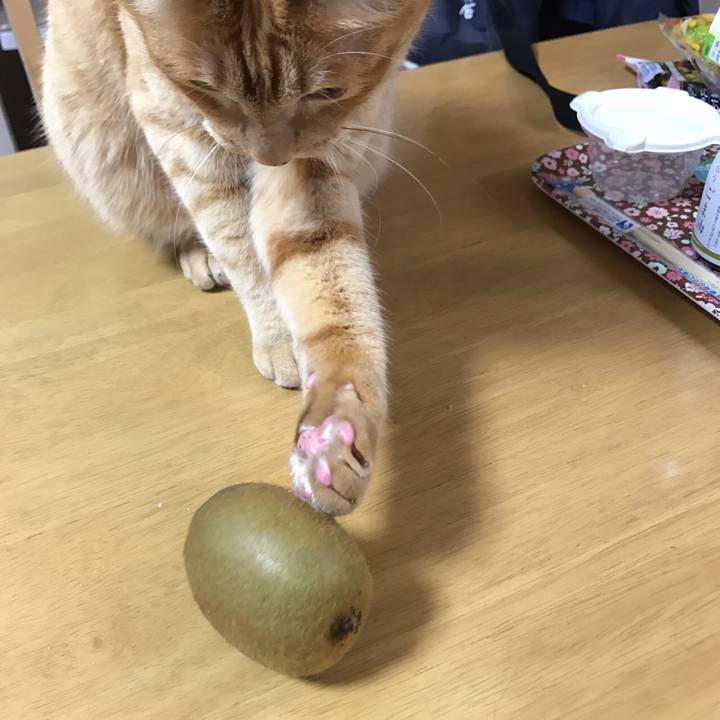 48a6d3fb 9e7e 4c0f b1c6 4c8d7423e2d9