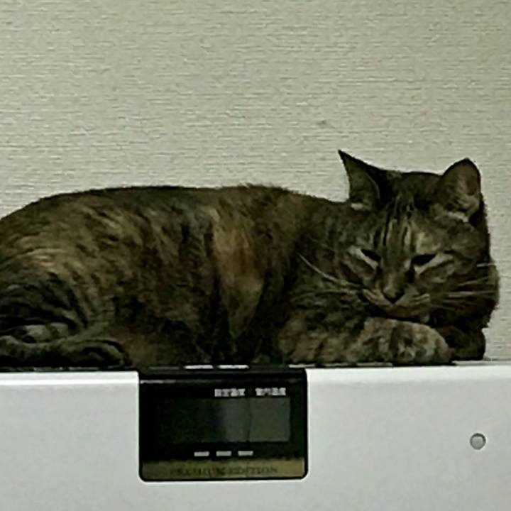 48a71675 959c 4fec 9eaf 3eb7c632982e