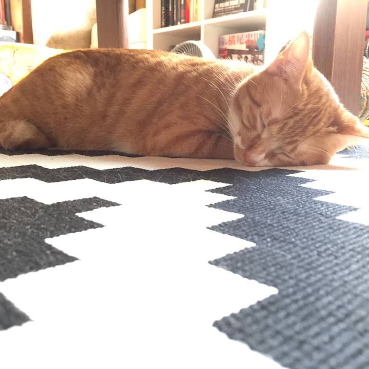 48a78105 e89e 44d2 815e cf3c6f3d64b8