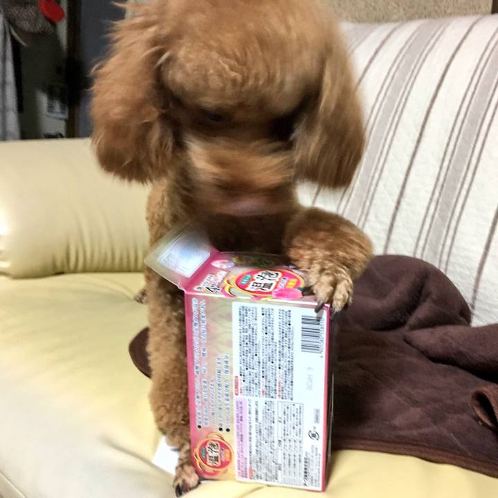 48a790ce ce5c 41fc 9641 5dad4f6a0eae