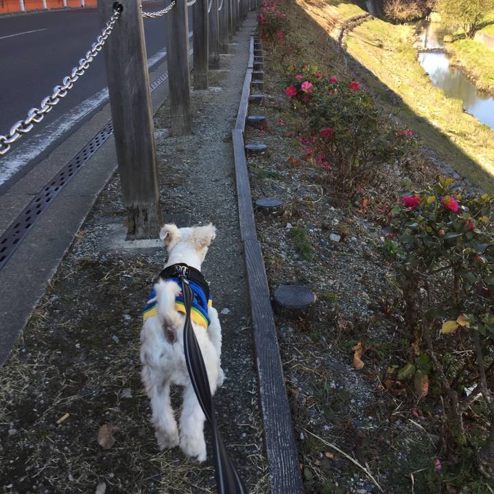 48a8df72 e214 4f12 a556 1d4f8abc2c17