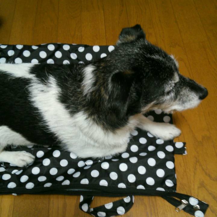 48a93fe6 8360 40f4 a64e e0d9a45228c9